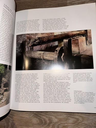Huge Illustrated POMPEII by Filippo Coarelli COLOR PHOTOS Hardcover - Picture 7 of 15