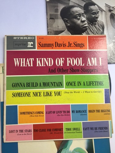 Vintage LP Vinyl Record Lot Sammy Davis Jr. Tatum Hampton Rich Bobby Darin - Foto 2 di 8
