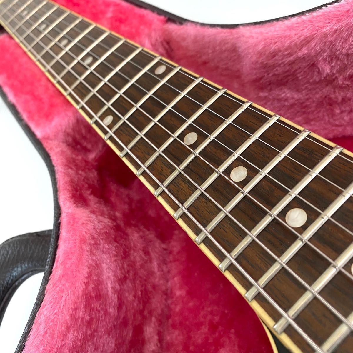 Burny RSA 55 ESS 335 Type Hard Case Included Fernandes Burny RSA 55 ESS 335 Type Hard Case Included Fernandes