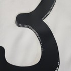 Picture 5 of 12