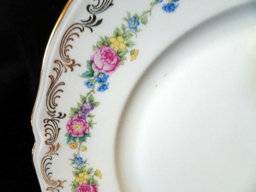 PLATO DE CENA HUTSCHENREUTHER AMARILLO BAVIERA ALEMANIA ""EL DEVON"" 10" FIRMADO - Imagen 2 de 5