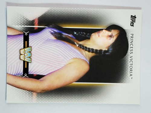 You Pick Your Cards - WWE Diva Smackdown RAW NXT - Wrestling Card Selection - Picture 116 of 119