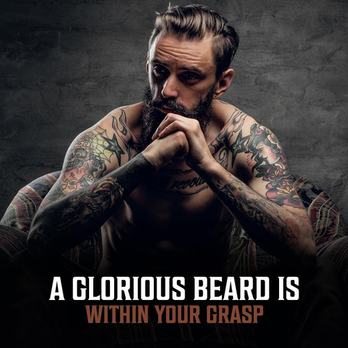 - Beard Oil Conditioner 3 Pack - All Natural Variety Sandalwood, Pine & Cedar, C - Picture 6 of 12