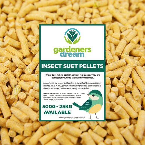 GardenersDream Insect Suet Pellets - High Energy Feed Wild Bird Garden Food - Picture 30 of 33