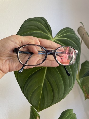 POLO RALPH LAUREN PH 2084 5195 BLACK EYEGLASSES 49-18-140 Frame Only - Picture 2 of 12