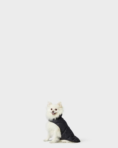 32 Grados, Moda Perro Acolchado Chaleco Chaqueta Amortiguador Abrigo (Elige Talla + Color) - Imagen 3 de 34