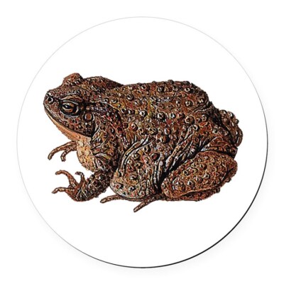 BROWN FAT TOAD FROG  Pendant On 925 Sterling Silver 20'' Necklace gold gift box 