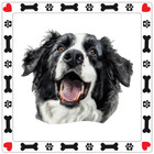 Stabyhoun Dog Sticker Decal A1129