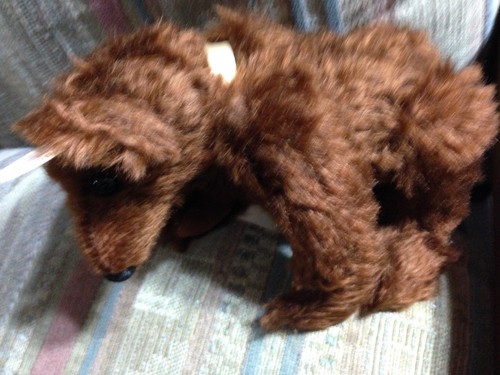 Steiff Bären Mister Schokolade 1997 Limited Edition - Bild 6 von 8