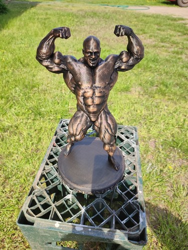 Ronnie Coleman - Mr Olympia statue bodybuilding gym figure 20/25/37/55cm - Imagen 23 de 44