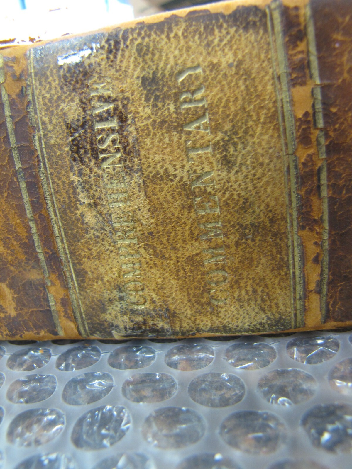 Picture 6 of 19