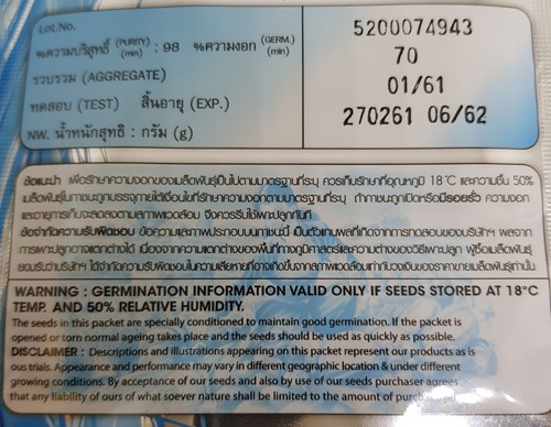 120 seeds/Thai hot sun seed pepper capsicum chili seeds plant annuum ornamental - Picture 3 of 5