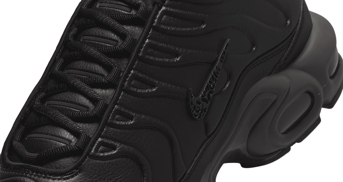Nike Air Max Plus PRM Black Tea and Petra Brown HJ4519-200