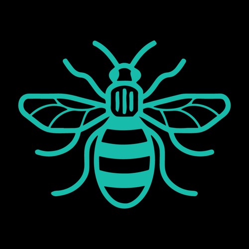 3,1 Zoll BEE x2 Vinyl Aufkleber Aufkleber Auto Fenster Laptop Bug Manchester Honig - Bild 13 von 24