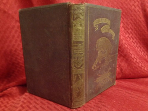 1868 RARE Wild Life Under the Equator Travel Illustr Chaillu Naturalist - Picture 2 of 12