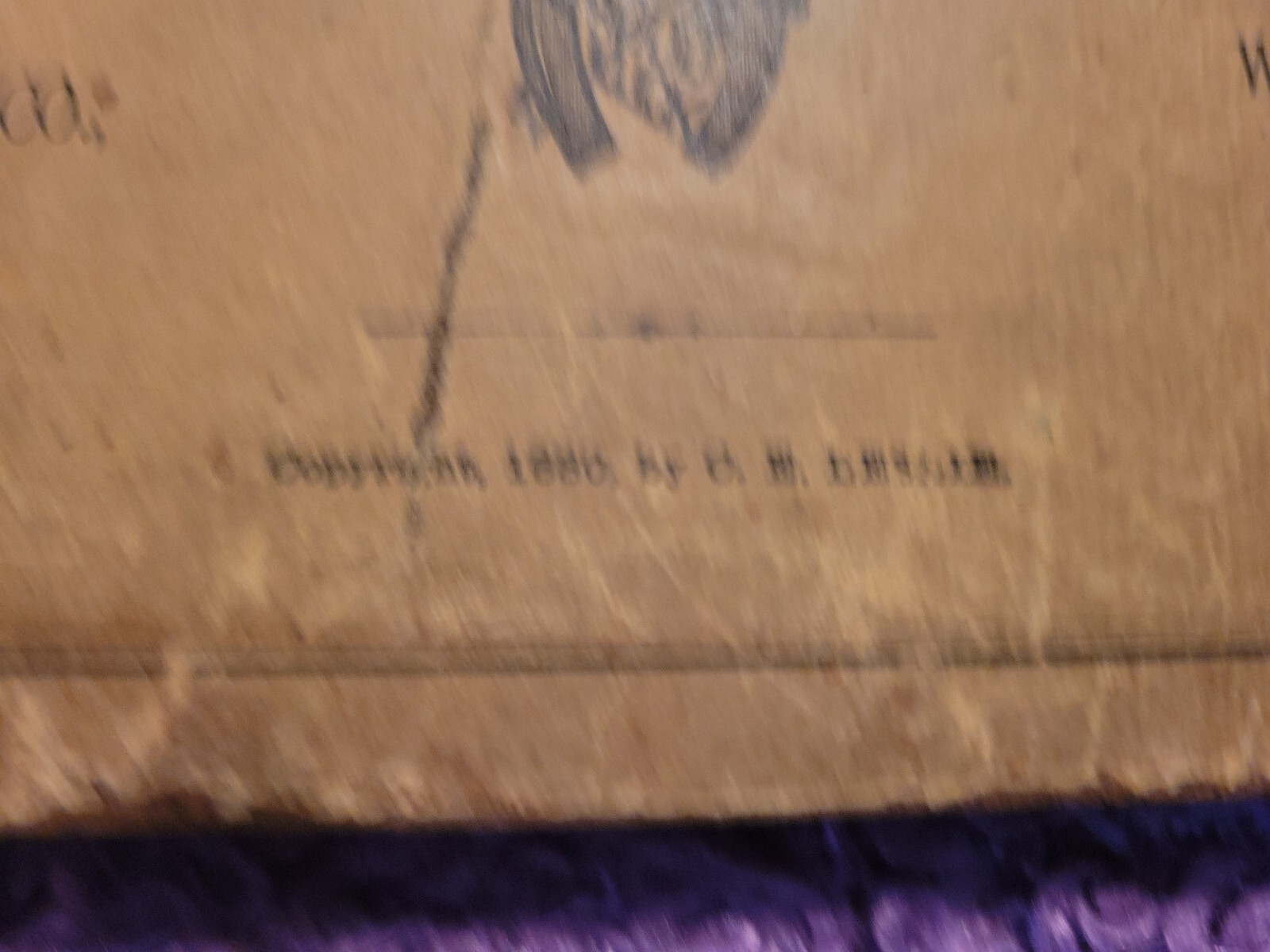 Picture 10 of 20