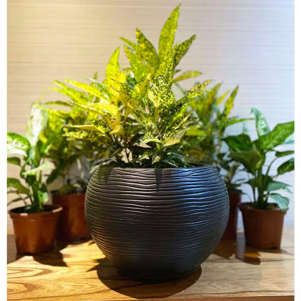 Florence Medium Black Plastic Resin Indoor and Outdoor Planter Bowl