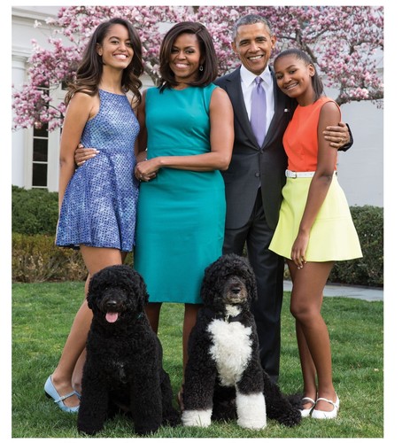 The First Family -PORTRAIT - Poster (12" x 12") - Picture 2 of 2