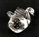 Picture 8 of 12