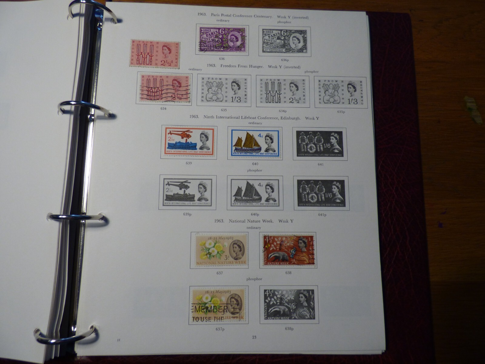 Picture 24 of 24