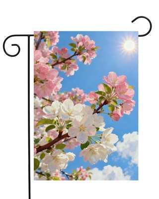 Spring Cherry Branches Blooming Pink White Flowers with Dews Sunlight Garden ...