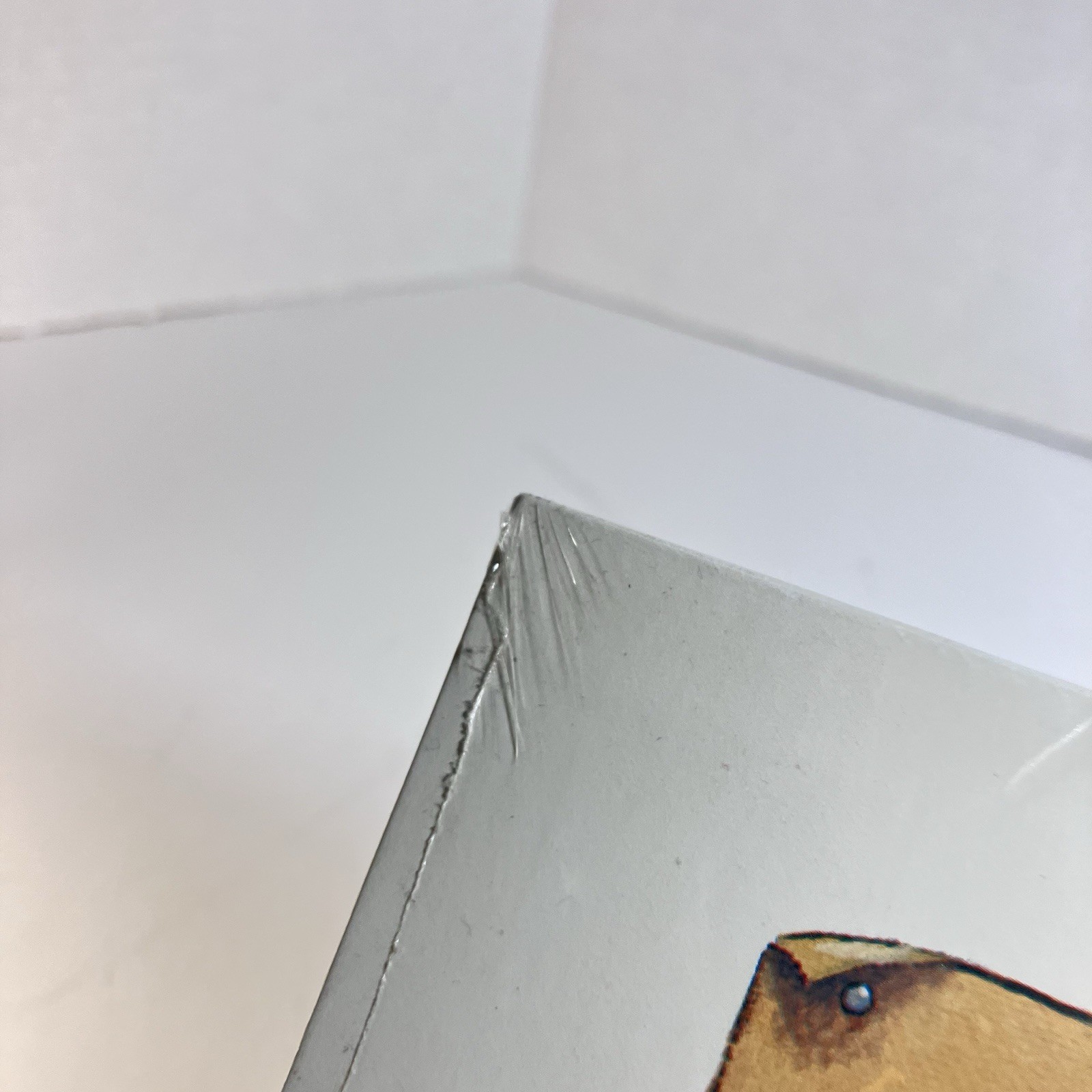 Picture 17 of 19