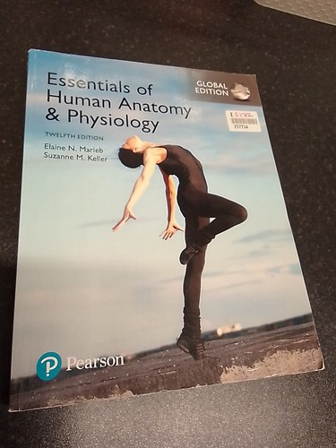 Essentials of Human Anatomy & Physiology, Global Edition - Marieb, Elaine