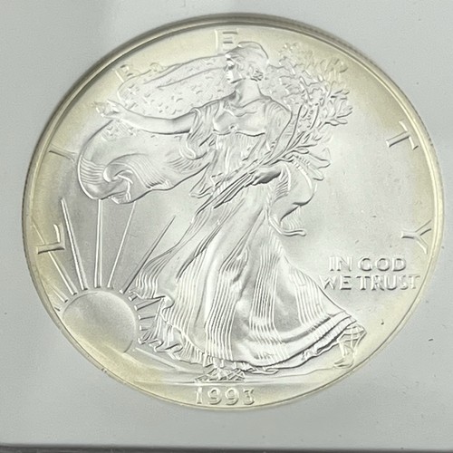 1993 1 $ American Silver Eagle NGC MS69 CLASSIC BROWN LABEL .999 FINE W/TONING - Bild 2 von 4