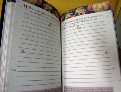 Stepping Stones A GARDENER'S JOURNAL to record gardening success and challenges - Picture 6 of 7