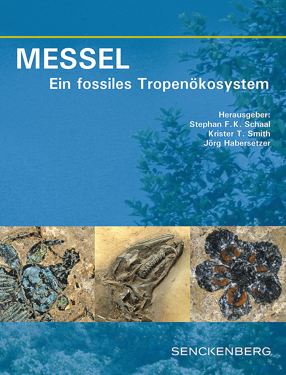 Thumbnail - Stephan F. K. Schaal; Krister T. Smith; Jörg Habersetzer / Messel -