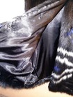 Bild 8 von 10