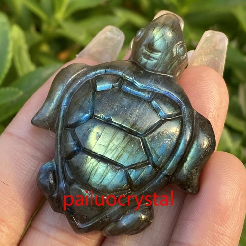 1.7" Natural Rainbow Labradorite Sea turtle Quartz Crystal Skull Pendant 1pcs - Bild 9 von 9