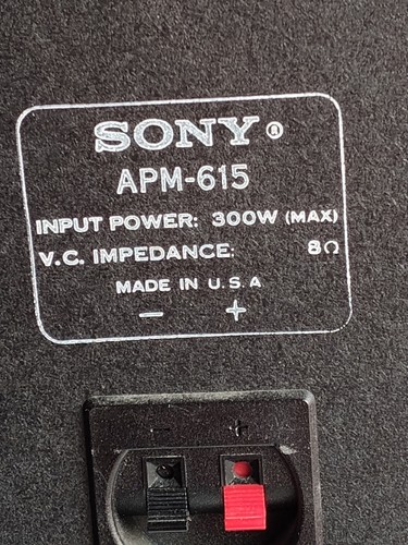 Sony APM-615 Stereo Speakers 300 Watts HiFi Tested Sounds Amazing Tested - Picture 15 of 21