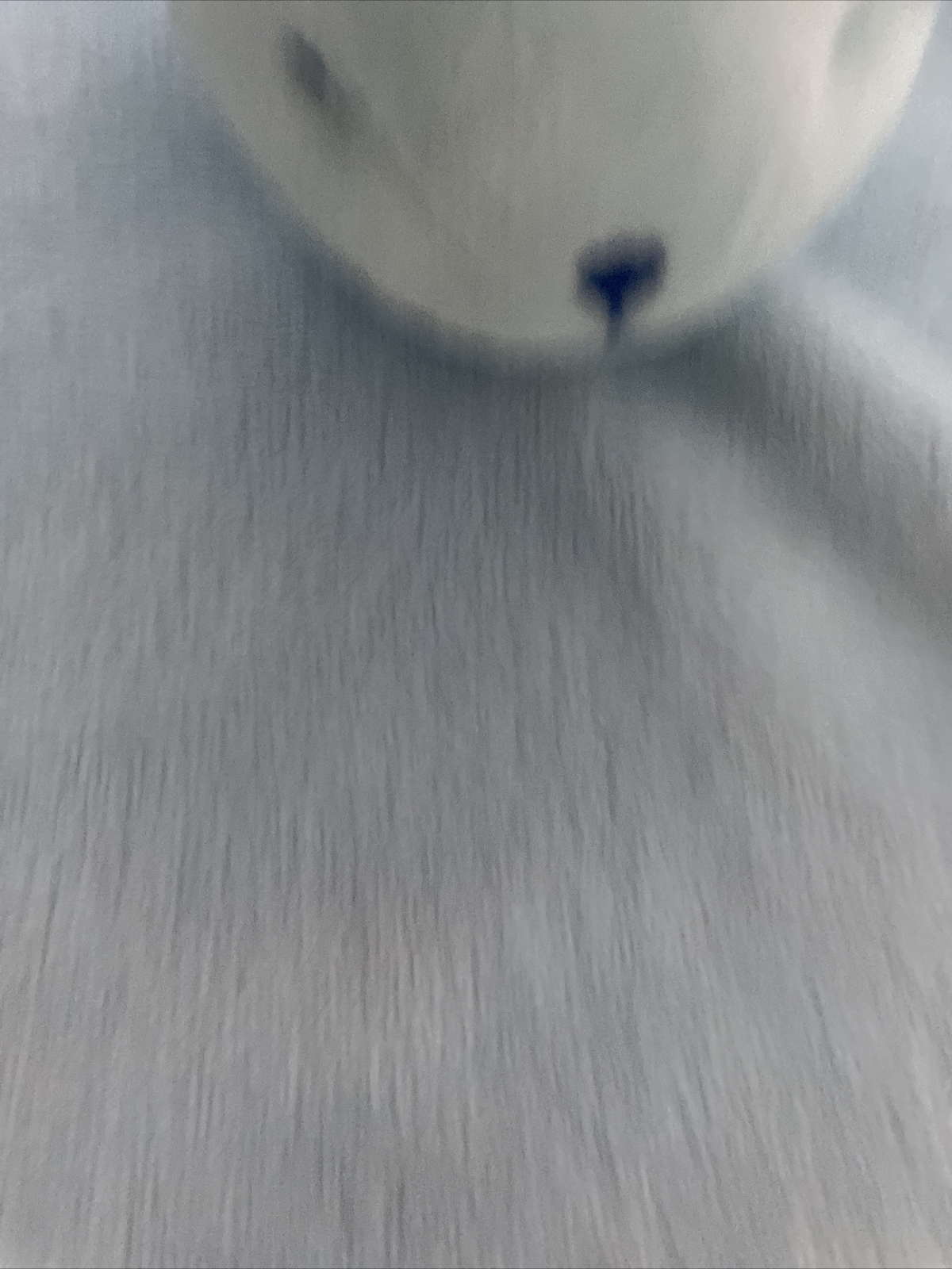 Picture 4 of 10