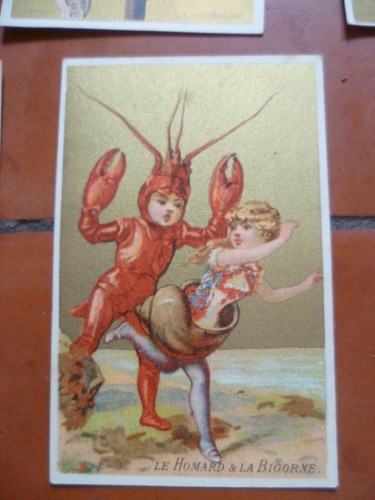 19 chromos chinois Japon , cirque , insectes 19° enfants no Liebig, bon marché - Imagen 3 de 12