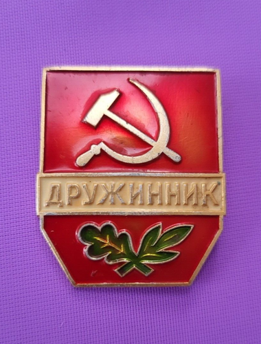 Sowjetischer Vintage Ärmelaufnäher und Pin Anstecker Freiwillige Volksmiliz (DND) UDSSR - Bild 10 von 20