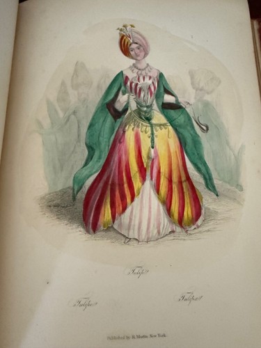 1849 - The Flowers Personified by N. Cleaveland & Grandville 27 Engravings - Picture 16 of 19