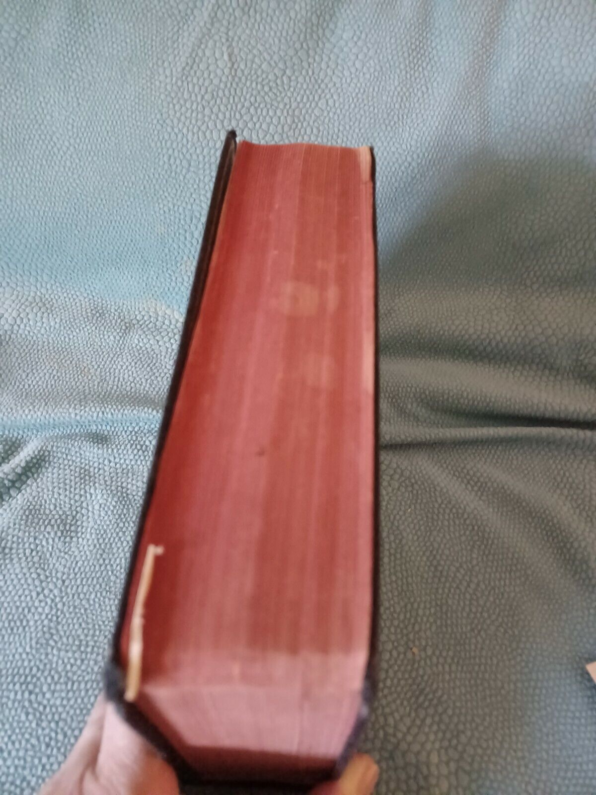 Picture 6 of 9