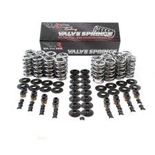 Btr Sk001s0560bb Btr Platinum Dual Valve Spring Kit Ls Steel