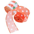 2 Rolls Easter Decoration Ribbon Easter Decorating Ribbon Ribbon For Easter