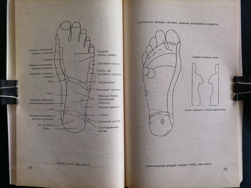 1996 FEET THAT BRING HEALTH ~ ИСЦЕЛЯЮЩИЕ НОГИ ~ Reflex Zones ~ Russian Textbook - Picture 7 of 21