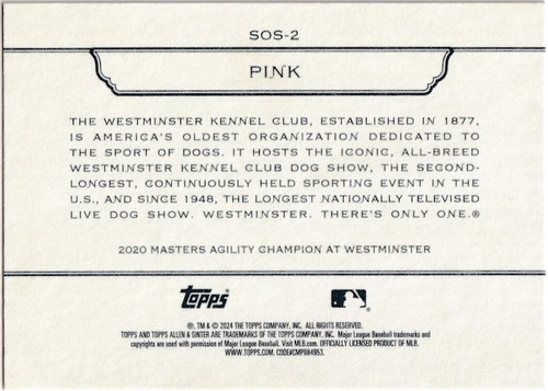 2024 Topps Allen & Ginter Stars of the Show Insert Set Singles - Bild 2 von 42