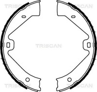 Triscan Bremsbackensatz Feststellbremse Handbremse Hinten 8100 29002