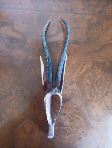 Handgeschnitzt Kudu Antilope Trophäe Afrika Gehörn Wanddekoration, Deko Vintage - Bild 5 von 6