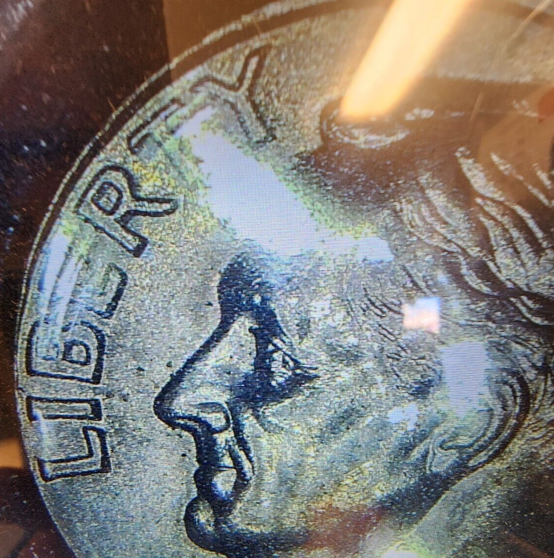 Picture 8 of 14