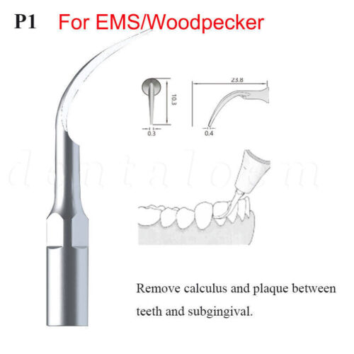 50 Types Dental Ultrasonic Scaler Tips Scaling Endo Perio G P E Fit for EMS NSK - Picture 9 of 41