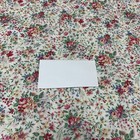 Foto 11 di 19