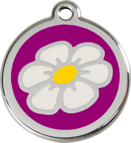 Steel Red Dingo Daisy ID Dog Tag Black Purple Blue Green Yellow Orange Red Pink - Picture 12 of 22