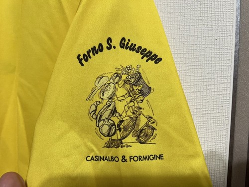 PGS Fides Casinalbo Volley Italy 2021 ORIGINAL PLAYERS SHIRT JERSEY TOP Sz XL - Picture 8 of 12