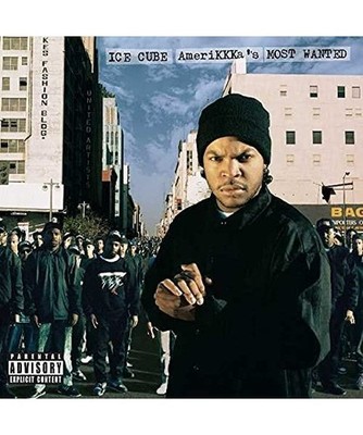 Amerikkka'S Most Wanted, Ice Cube